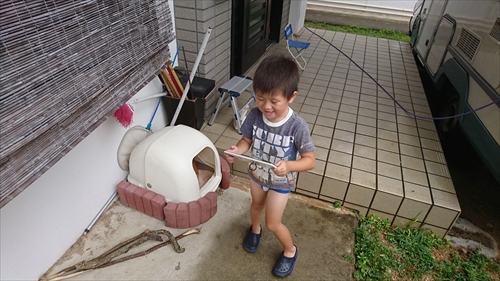 21日・トラが住みついちゃった・・・